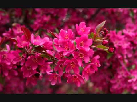 Matlab Ke Hain Rishte Naate Lyrics Lyrics
