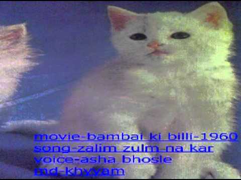 Zalim Zulm Na Kar Lyrics Lyrics