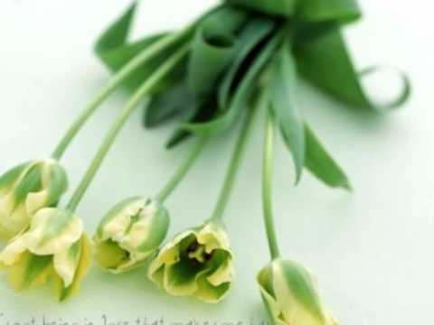 Dhoondh Legi Manzil Humein (Title) Lyrics Lyrics