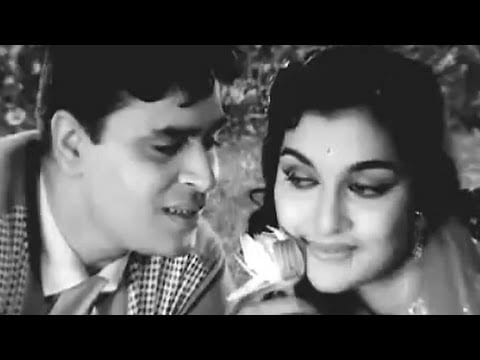 Husn Wale Teraa Jawab Nahee Lyrics Lyrics