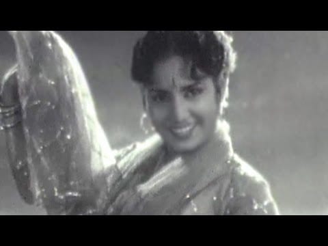 Tum Mard Nikaloge Lyrics Lyrics