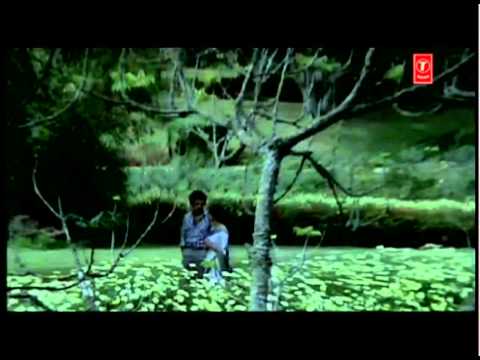 Main Tere Saath Hoon Lyrics Lyrics
