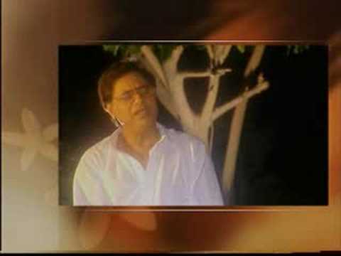 Ek Pal Ghamon Ka Lyrics Lyrics