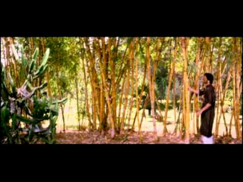 Meri In Aankhon Mein Lyrics Lyrics