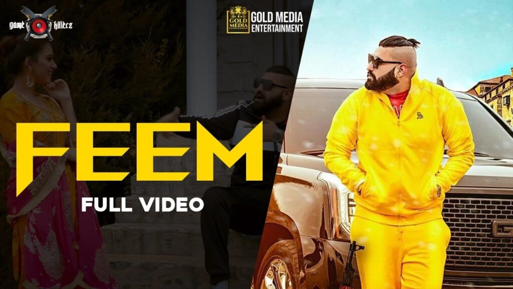 Feem Lyrics Lyrics