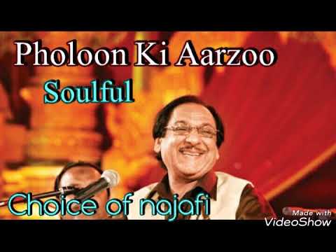 Phoolo Ki Aarzoo Mein Lyrics Lyrics