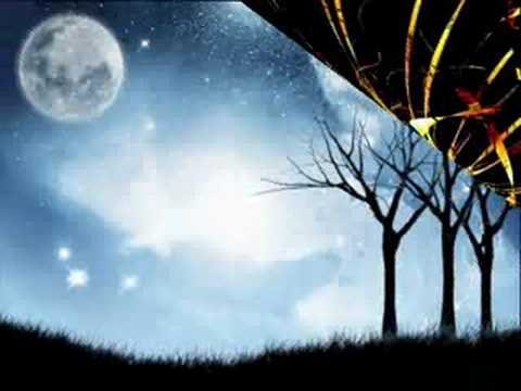 Kabhi Kitabon Mein Phool Lyrics Lyrics