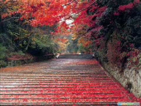 Bulleh Shah Lyrics Lyrics