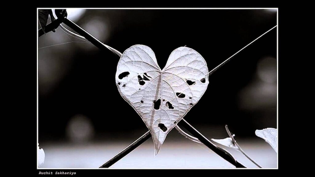 Tere Bin Koi Bhi Pal Lyrics Lyrics