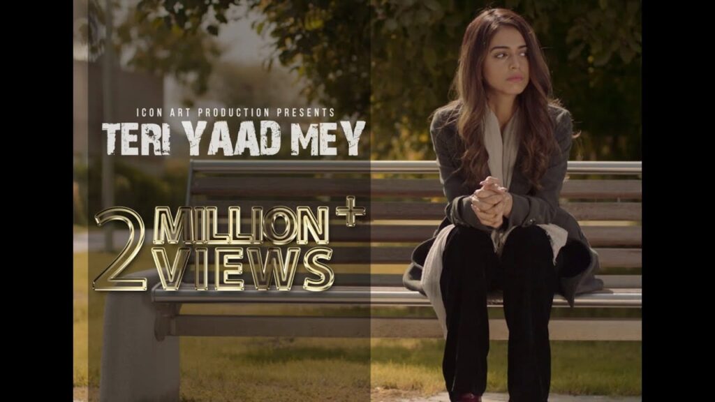 तेरी याद मे Teri Yaad Mey Lyrics Lyrics