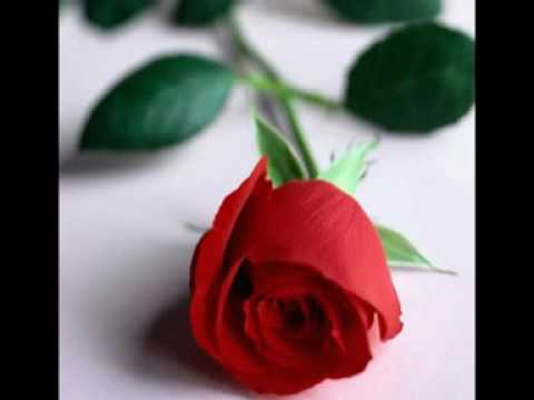 Paimana Tere Lab Hai Lyrics Lyrics