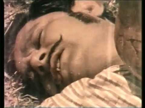 नन्हा शिकारी Nanha Shikari Lyrics Lyrics