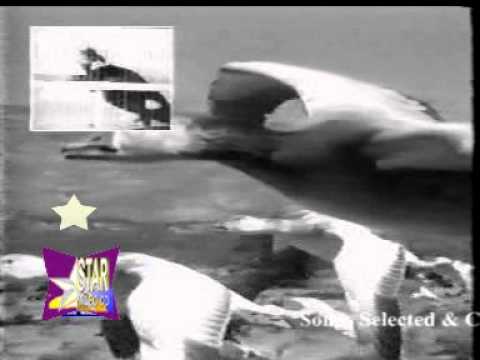 Pinjare Ke Panchhi Re Lyrics Lyrics