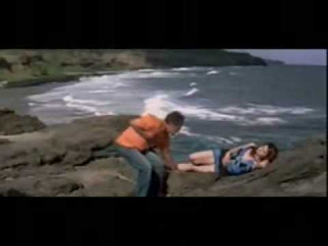 Chidiya O Son Chidiya Lyrics Lyrics