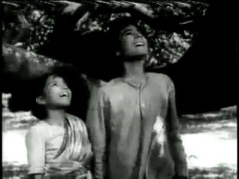 O Albele Panchhi Lyrics Lyrics