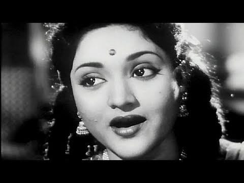 Zamane Se Nirala Hai Lyrics Lyrics
