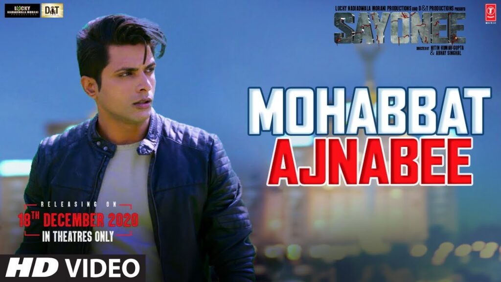 मोहब्बत अजनबी Mohabbat Ajnabee Lyrics Lyrics