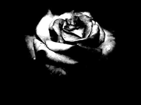 Aarzoo Lyrics Lyrics