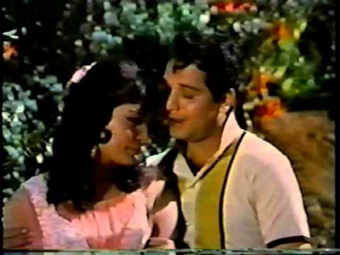 पंछी रे ओ पंछी Panchhi Re O Panchhi Lyrics Lyrics