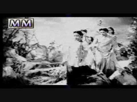Bedard Shikari Lyrics Lyrics