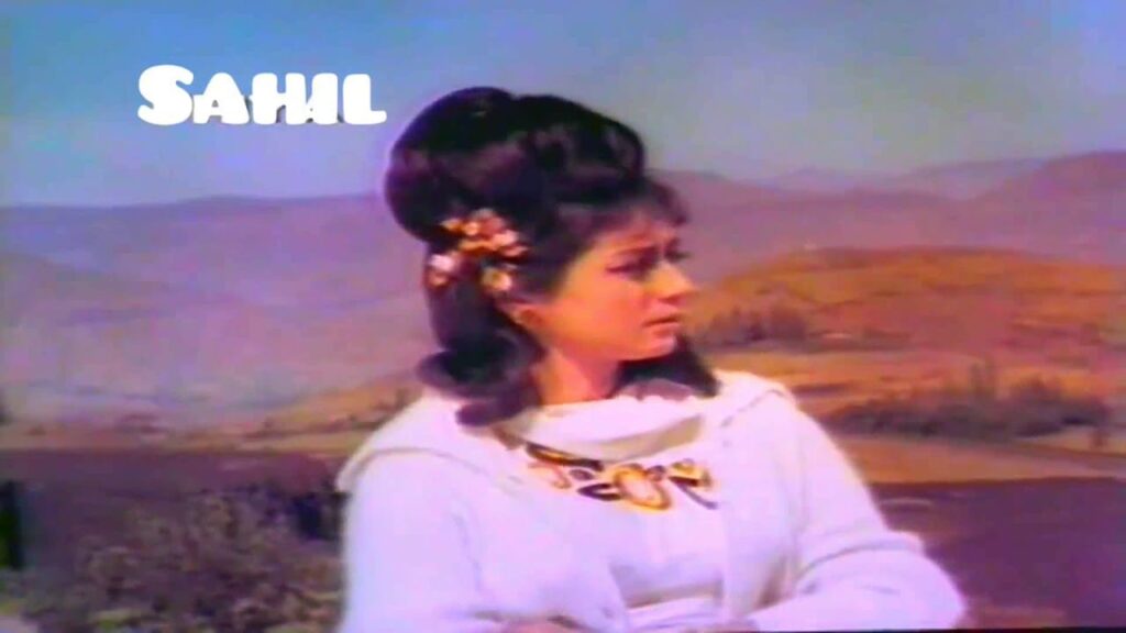 Vadiyan Mera Daman Lyrics Lyrics