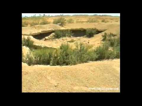 Allaho Baqi Min Kulle Fani Lyrics Lyrics