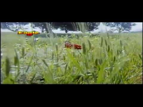 Din Pyar Ke Aayenge Sajaniya Lyrics Lyrics