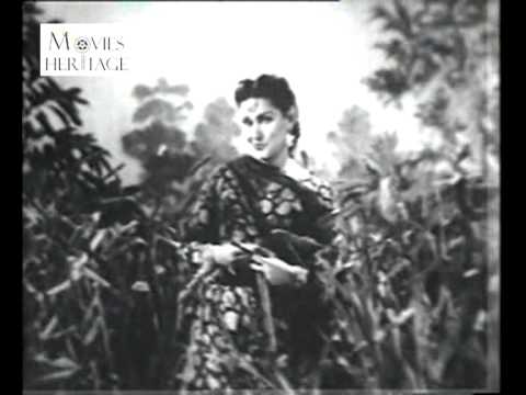 Main Kheton Ka Panchi Lyrics Lyrics