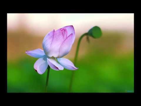 Hum Karenge Milke Aish Lyrics Lyrics