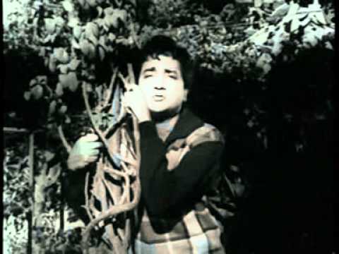 तेरे पीछे फिरते फिरते Tere Pichhe Firte Firte Lyrics Lyrics