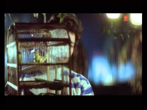 Tumhe Dil Se Chaha Tha Lyrics Lyrics