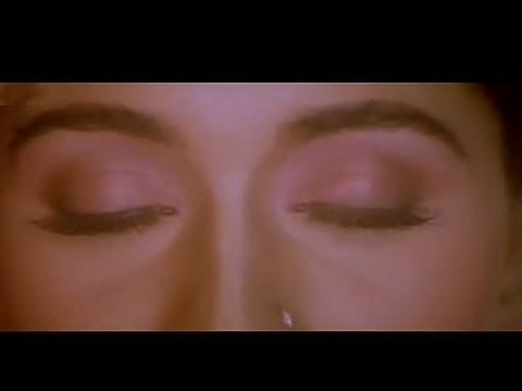 Mere Hain Girdhar Gopal Lyrics Lyrics