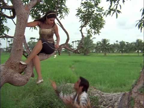 Ladki Nahi Hai Tu Lakdi Ka Lyrics Lyrics