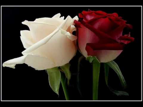 Tu Meri Ibtada Hai Lyrics Lyrics