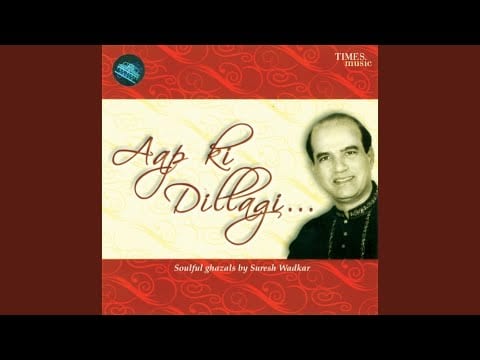 Aap Ki Dillagi Nahi Jaati Lyrics Lyrics