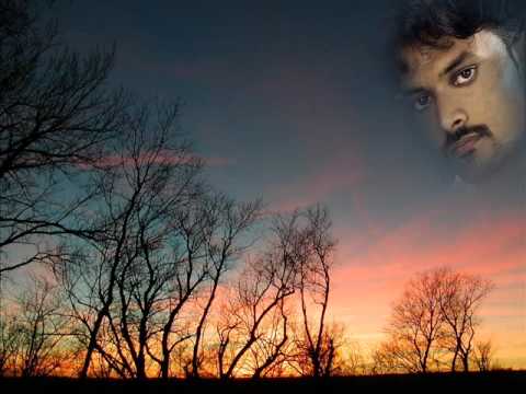 Chaman Ki Baharon Mein Lyrics Lyrics
