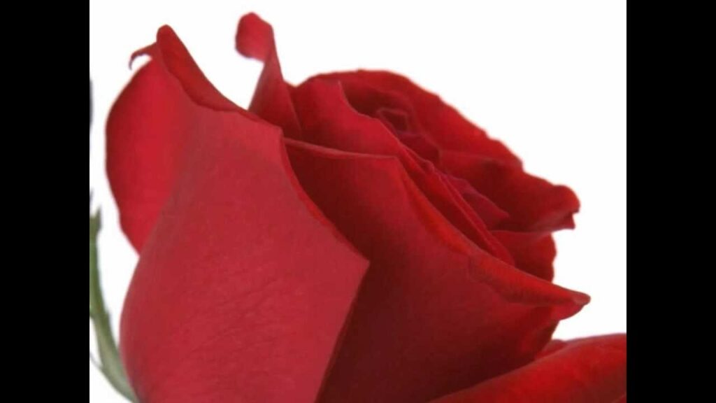 Ek Aashiq Ka Tujhko Salam Lyrics Lyrics