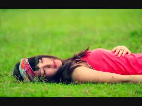 I Am Sorry Lyrics Lyrics