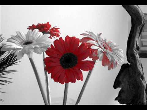 Jo Bhi Kuch Hai Lyrics Lyrics