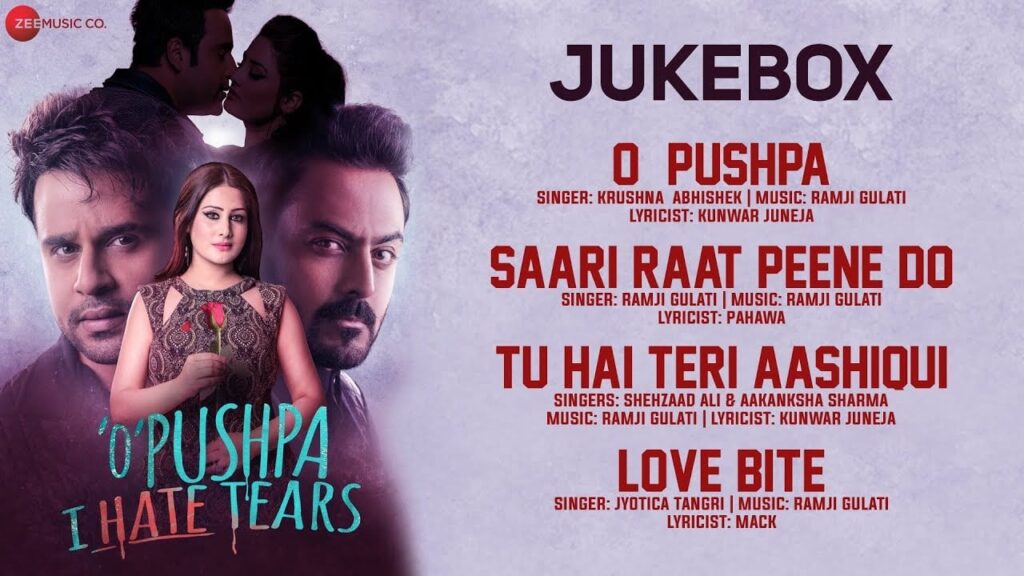 तू है तेरी आशिकी Tu Hai Teri Aashiqui Lyrics Lyrics