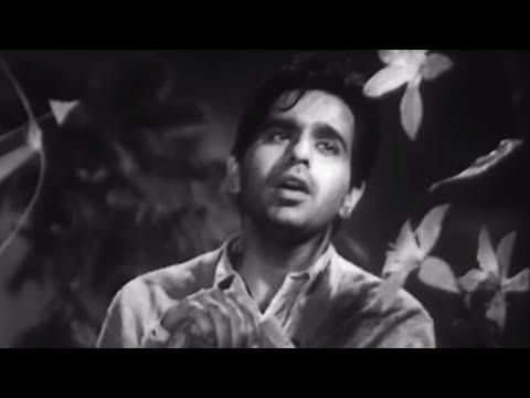 कोई नहीं मेरा इस दुनिया में Koi Nahin Mera is Duniya Mein Lyrics Lyrics