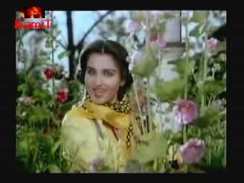 Kitne Bhi Tu Kar Le Sitam Lyrics Lyrics