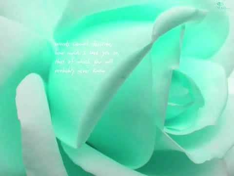 Humko Kehna Hai Lyrics Lyrics