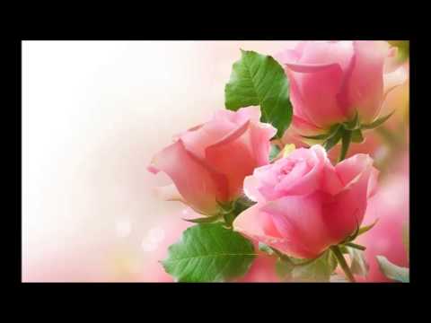 Aap Farmaiye Lyrics Lyrics