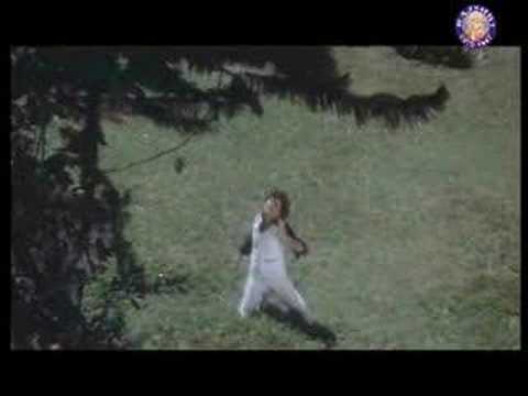 Yaari Hai Phoolo Se Lyrics Lyrics