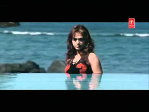 Hamara Dil Hume De Do Lyrics Lyrics