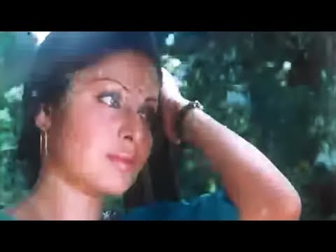 Do Panchhi Do Tinke Lyrics Lyrics