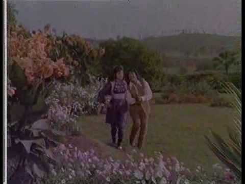 Roko Manao Wo Chala Lyrics Lyrics