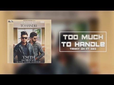 Too Much To Handle Lyrics Lyrics