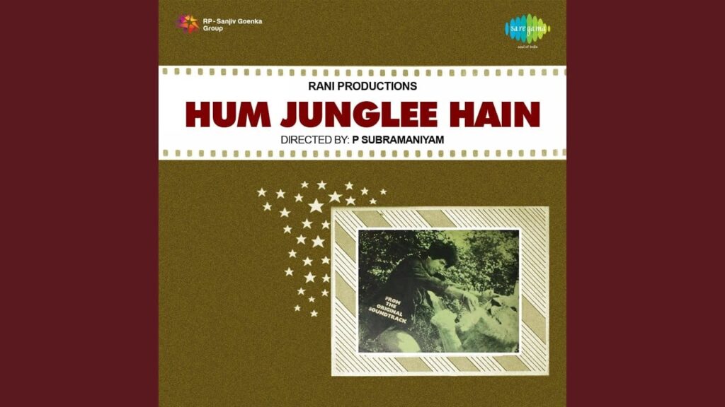 Jab Se Dekha Hai Tujhko Lyrics Lyrics